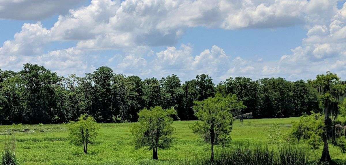 The Father delights in playing with you in the clouds and trees