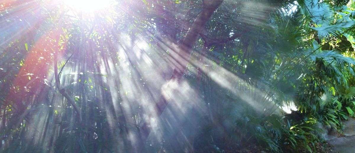 Rays of divine illumination remind us of what saints and mystics have revealed